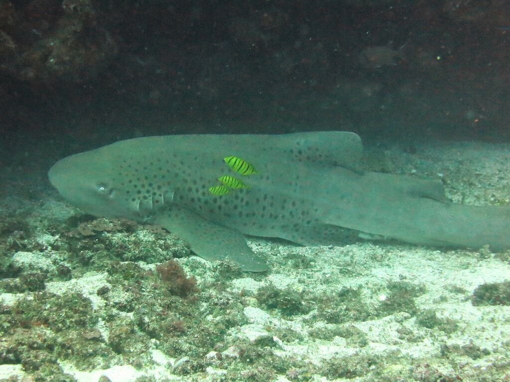 e13b6e51-0224-49cb-b80e-e9e92a43ae94