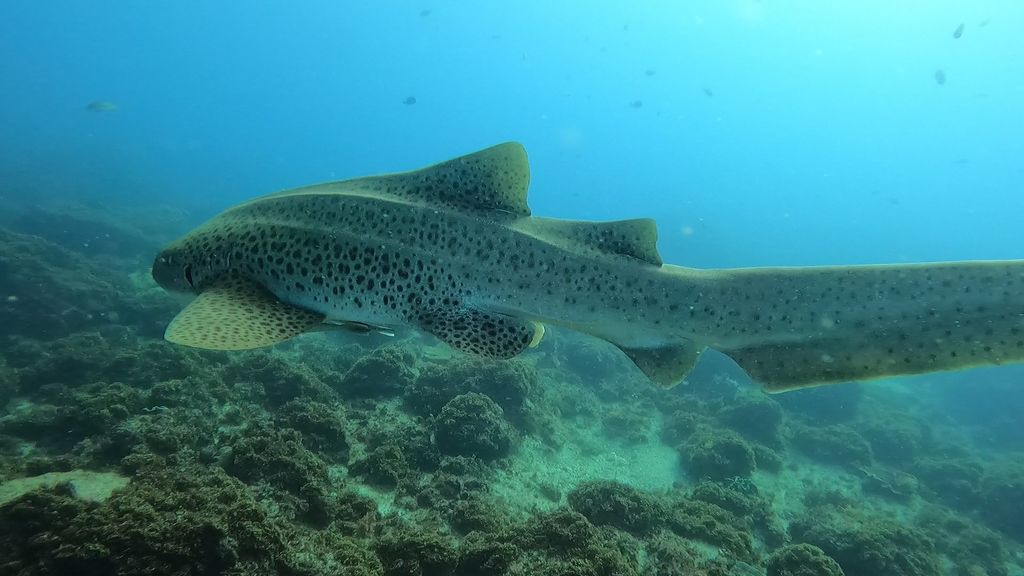 b9609171-24f8-4a67-92bf-9c366a62b0d2