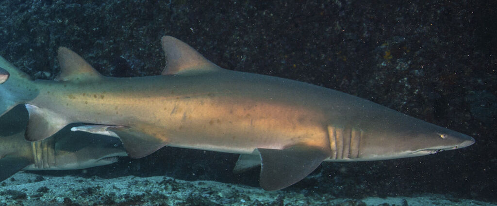 42393d45-6f92-474b-9189-d60ad8456e01