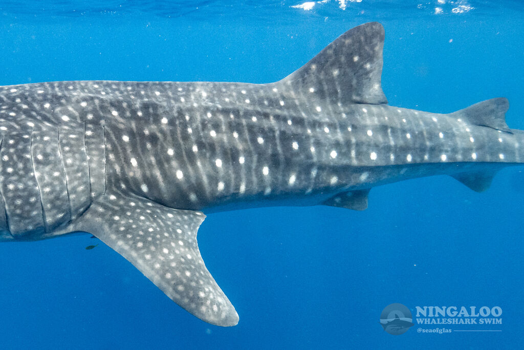 1cfbb6d2-0a4a-47f5-9e36-3f8be8d4678d