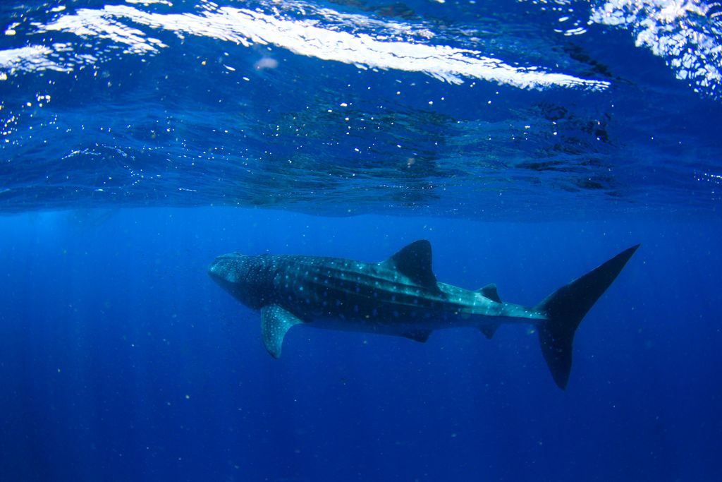 142157e7-2687-4b3d-bc4c-7166ebfd5273