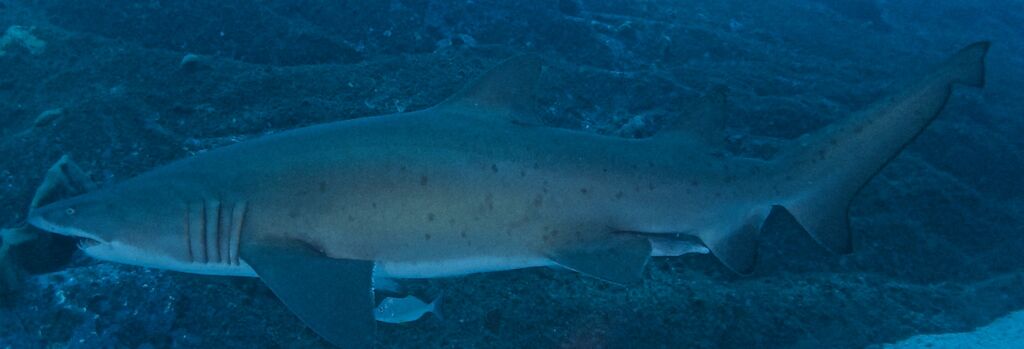 b3960d7b-b335-464c-ae81-beac3f4e4ee9