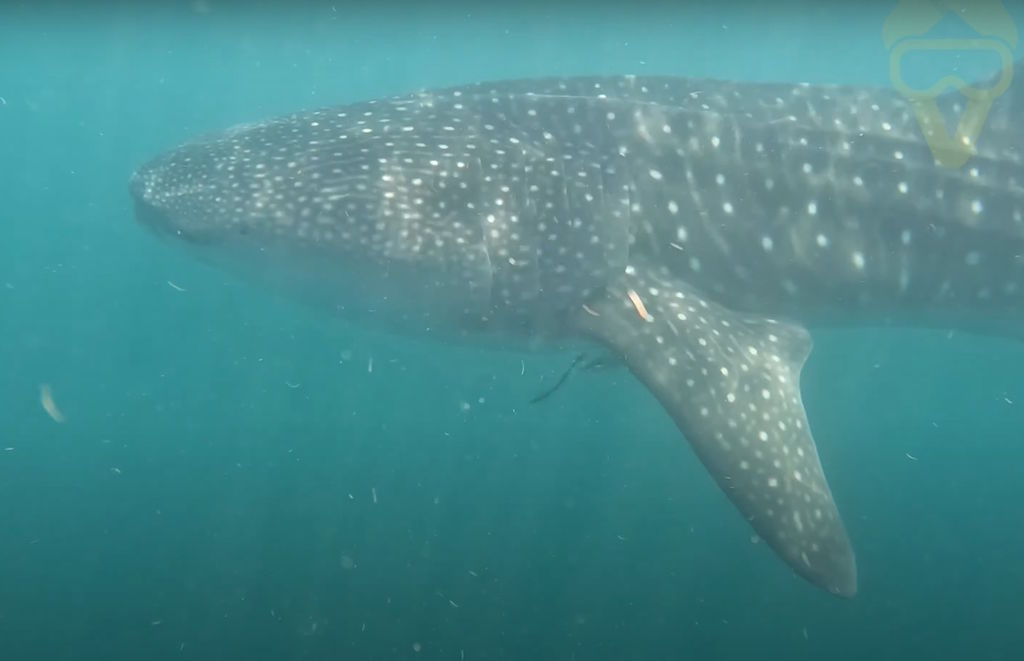 796c2a6f-8c48-4ffc-9ccf-2c4ab95bfcd5