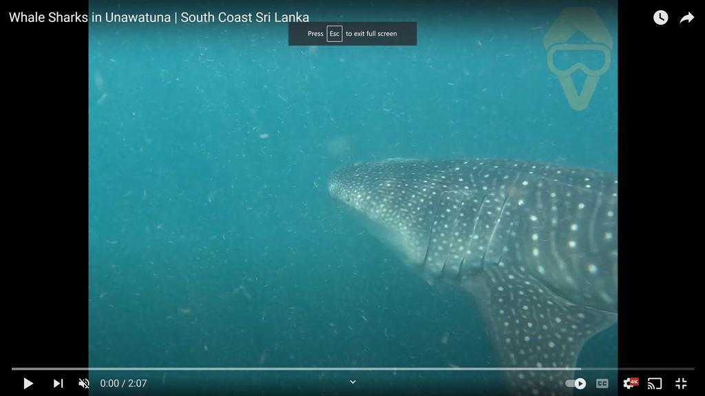 796c2a6f-8c48-4ffc-9ccf-2c4ab95bfcd5