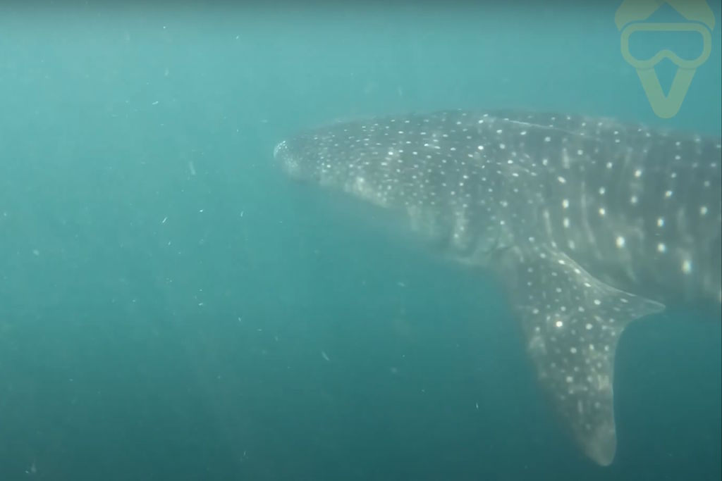 796c2a6f-8c48-4ffc-9ccf-2c4ab95bfcd5