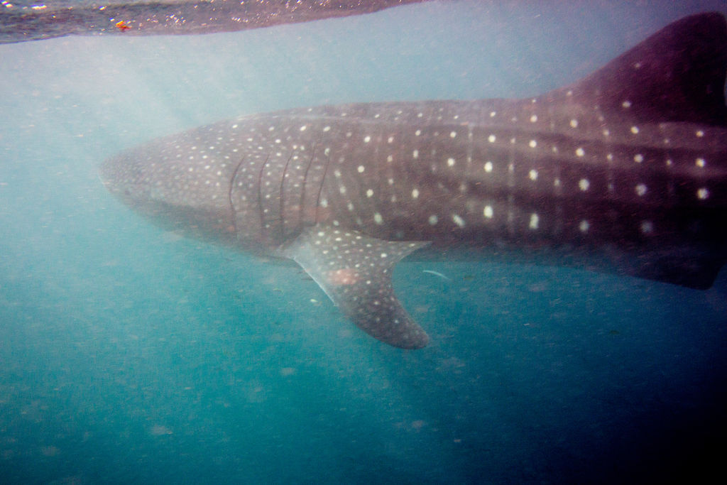 6cd10157-d9fc-41a0-b3df-8de171439b8a