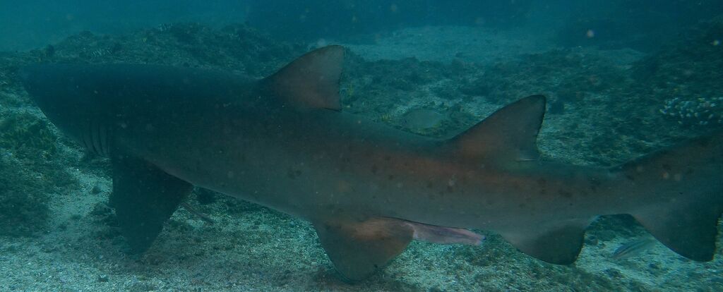 1ebe10f3-ed5c-4b7a-8b87-ce882650b3e4