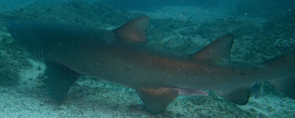 1ebe10f3-ed5c-4b7a-8b87-ce882650b3e4