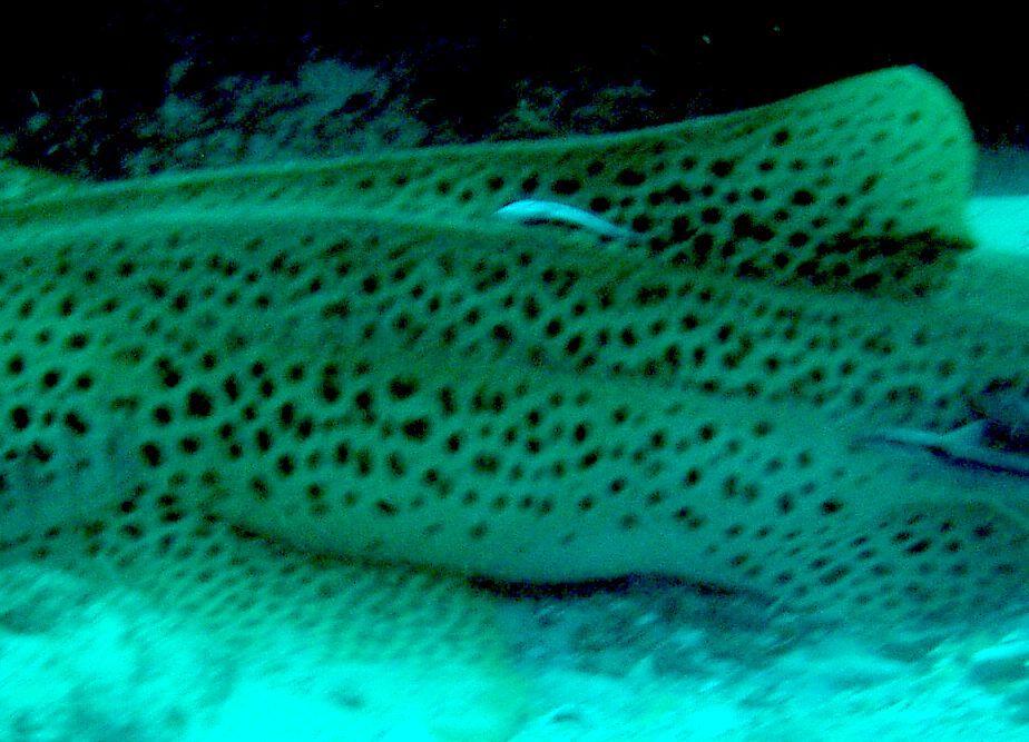 8fcec9fa-e0bc-49f1-9136-564baffb3692