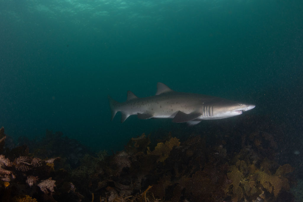 466d20d8-5dbf-4f3b-ad46-114d9b233e5f