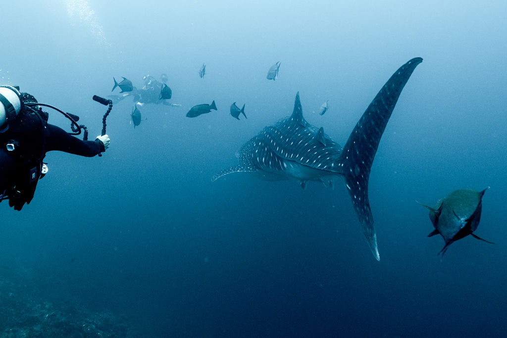 fa4715cb-66bd-4b90-a766-b618d3d90b31