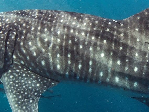 86d2064e-faf0-47b5-b8bb-37d8cd2ccc94