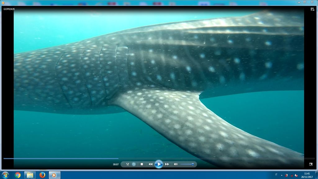 55c8fb39-7158-4ca9-bf85-419731fa9b07