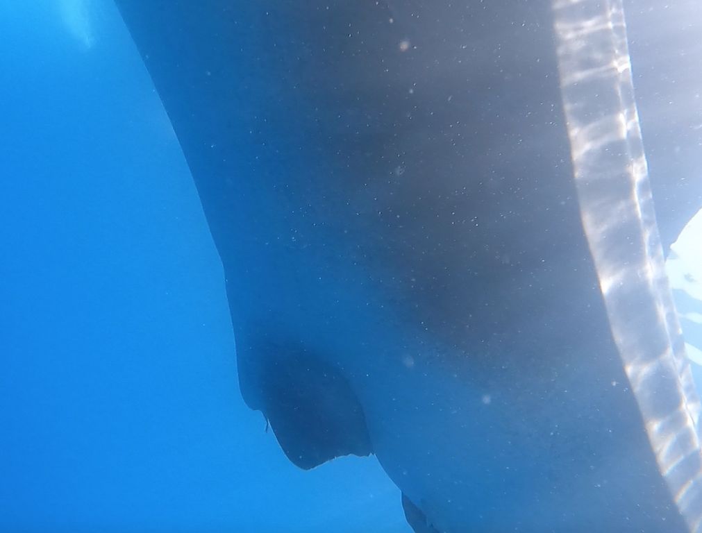 44e144cb-555c-41fa-aed1-d8470e7c6cf6