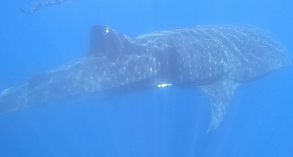 44e144cb-555c-41fa-aed1-d8470e7c6cf6