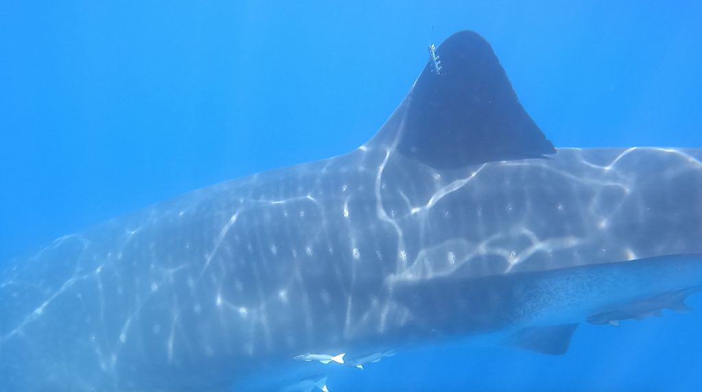 44e144cb-555c-41fa-aed1-d8470e7c6cf6