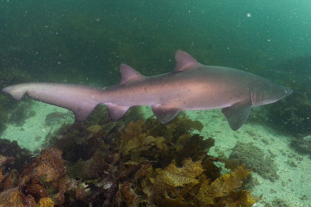 27fbbb42-3991-41da-b00b-55b53a949fc5