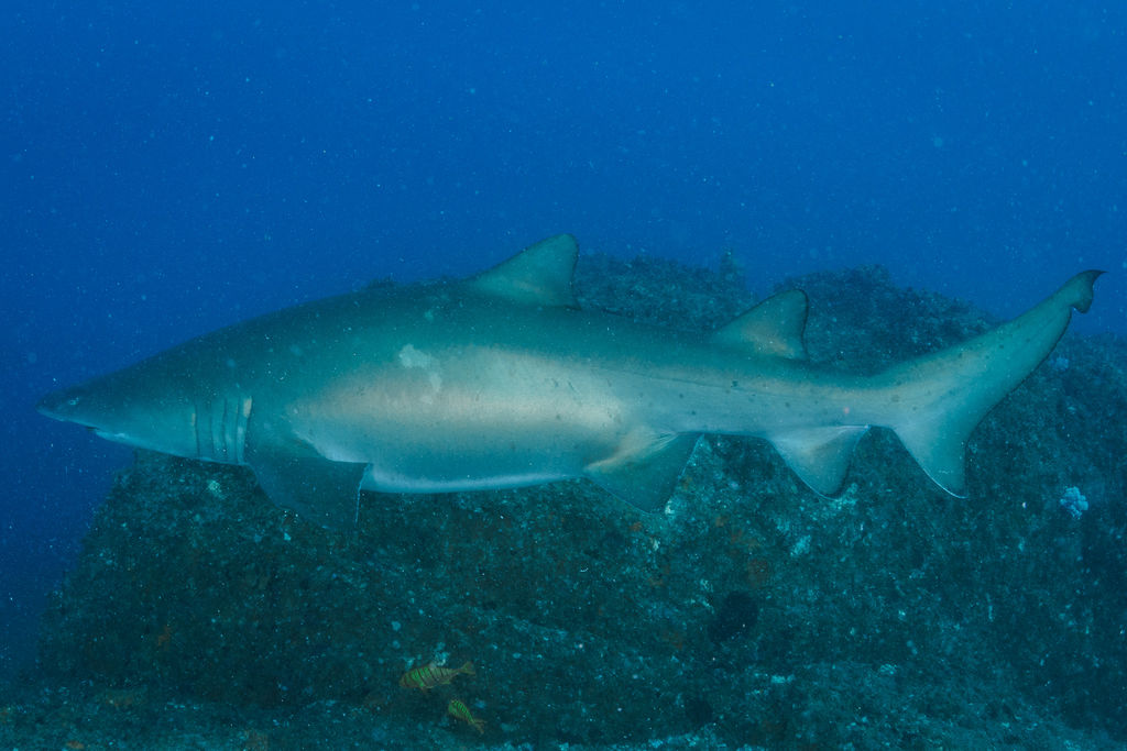 415b0099-8775-4534-a20d-9407d428ca71