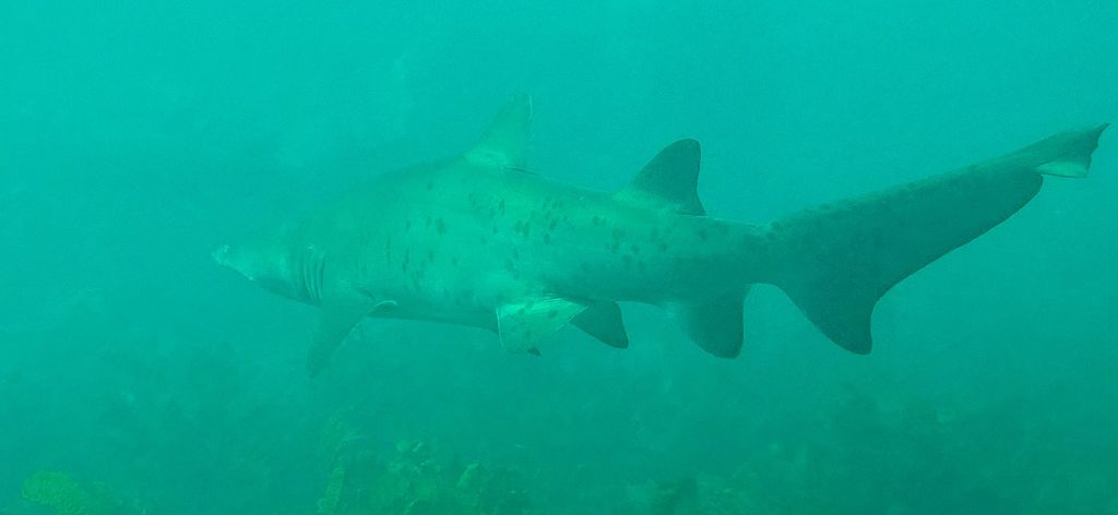 535f4338-db7f-4c83-a160-c42109bbf87f