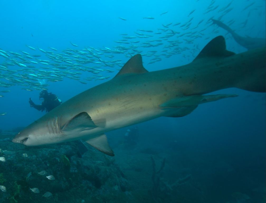 548f8ab6-4860-4f81-9125-27c25baed67f