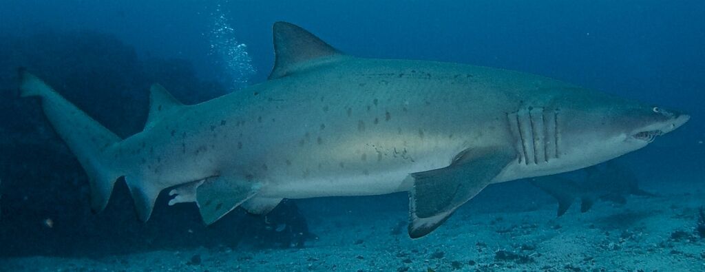 e30df41c-d258-4b16-ac21-d8d6e36d99ae