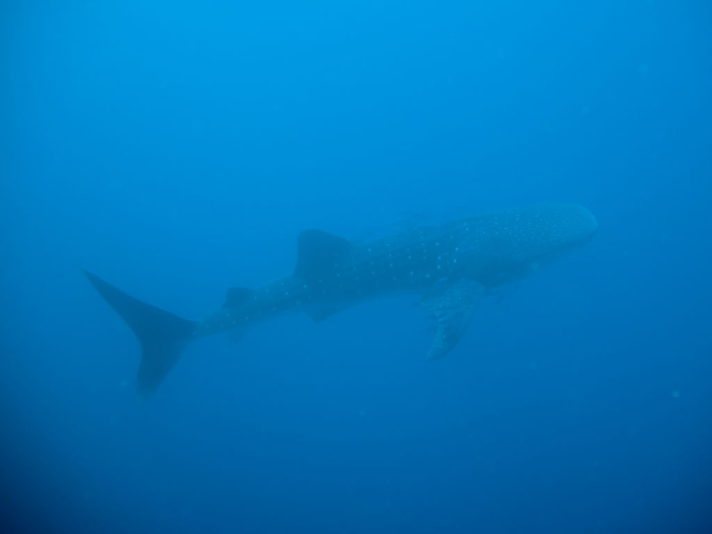 8261d656-730a-421a-8e34-19df2cdc0d20