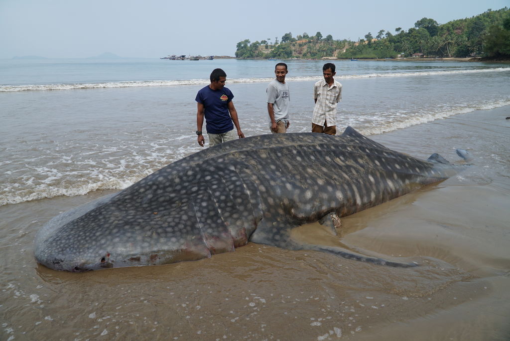 b45b2985-49bd-4ecf-921e-7fd542611037