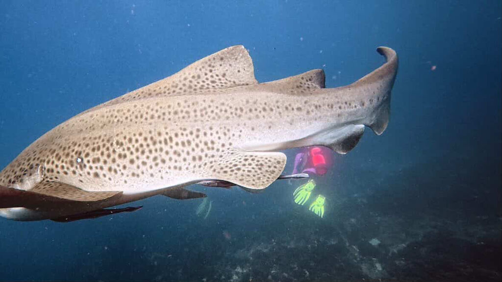 7544e871-1b7b-4384-81cb-da1eb2c56e54