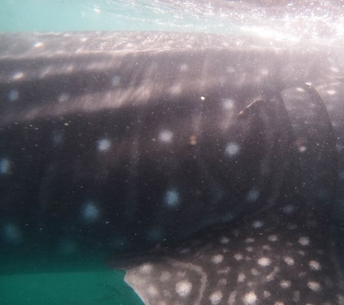 30aae6ee-fd02-48e0-8144-db86b6637198