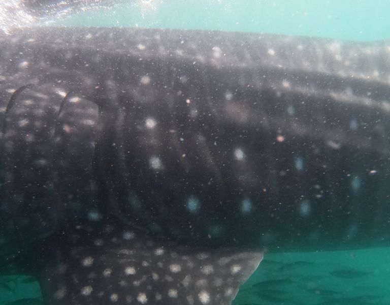 30aae6ee-fd02-48e0-8144-db86b6637198