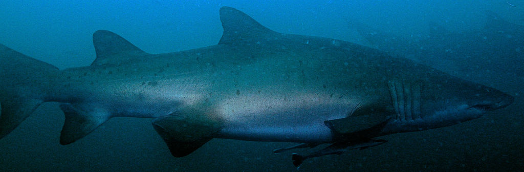 05d3c0f3-1f55-49c7-9dac-0bc6978fe85d