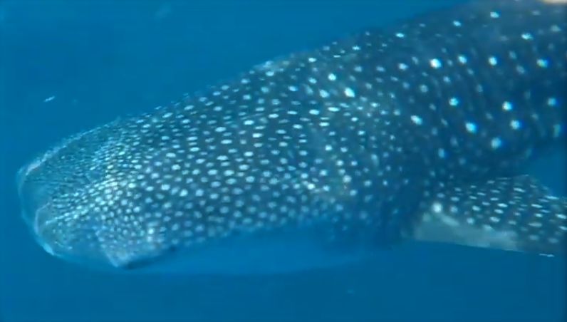 6b9d799c-282b-4f2c-9605-8165dff4d56a