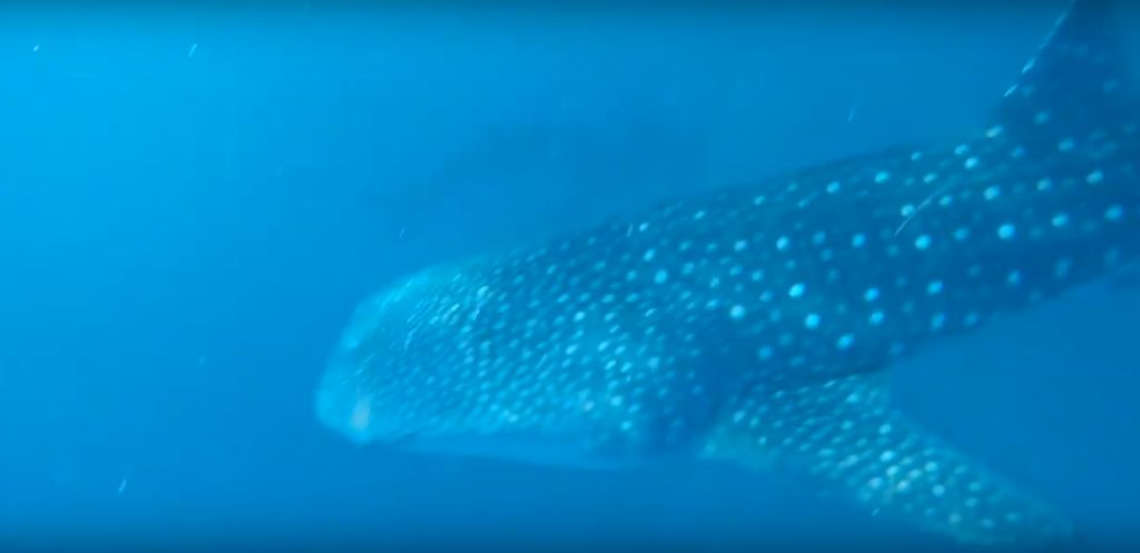 6b9d799c-282b-4f2c-9605-8165dff4d56a