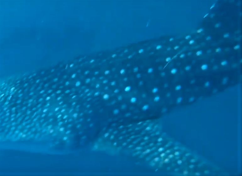 6b9d799c-282b-4f2c-9605-8165dff4d56a