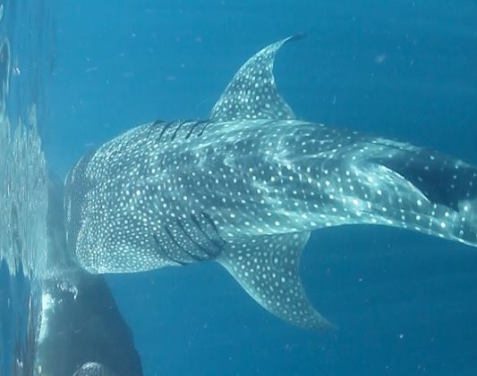 25ea1b51-d5b2-43a9-8972-763a29bd27e5