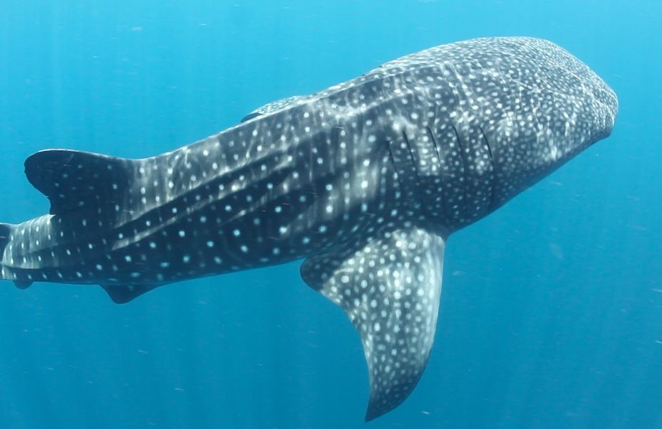 25ea1b51-d5b2-43a9-8972-763a29bd27e5