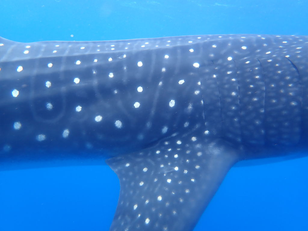 86ea5b64-15cc-4c6d-a495-47a499d0364c