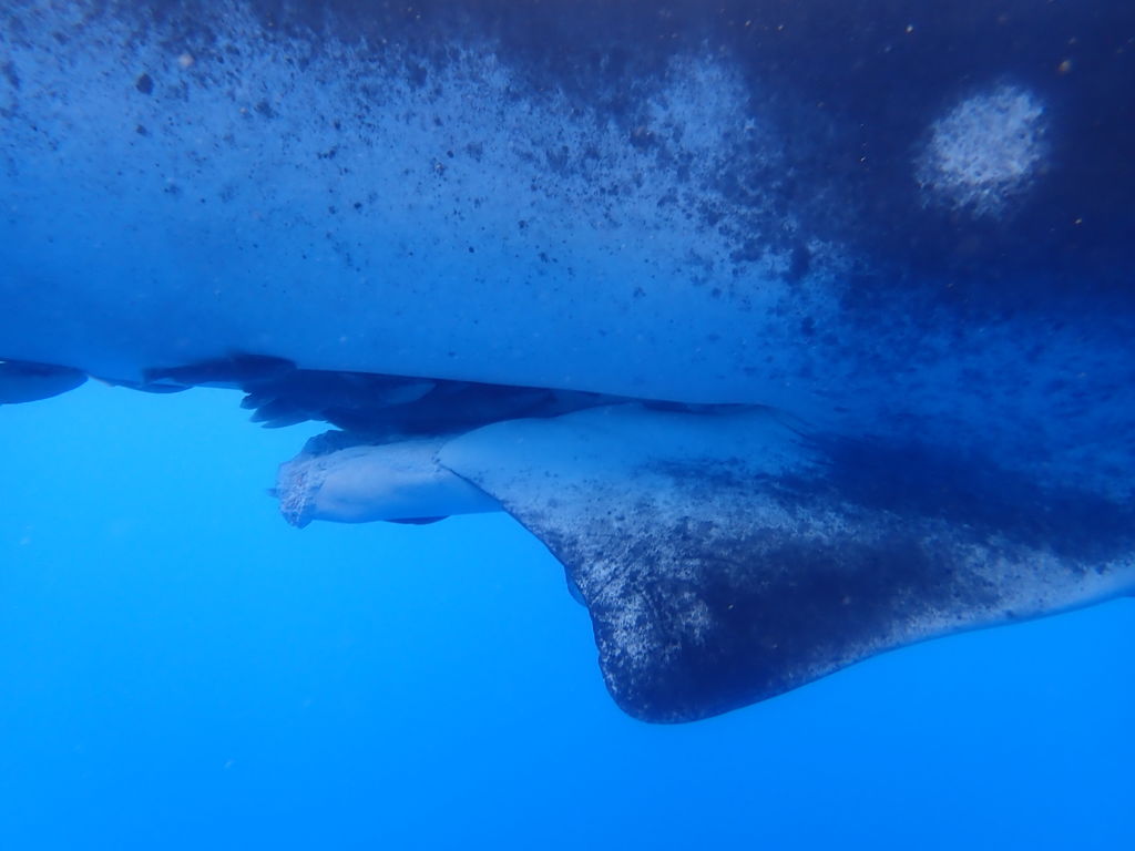 86ea5b64-15cc-4c6d-a495-47a499d0364c