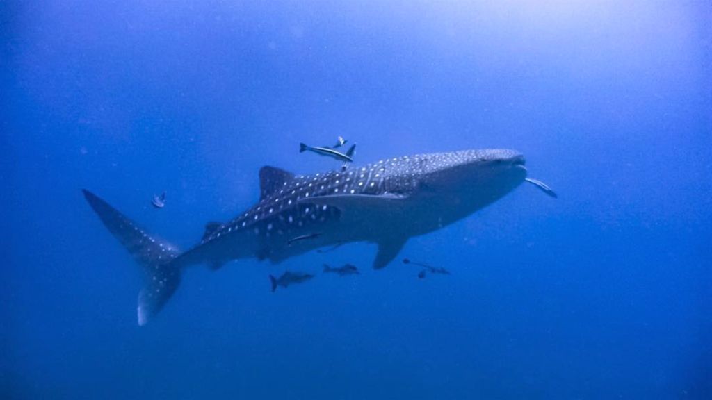 2d888bd3-a554-4a5a-bc69-68eb7a8001bd