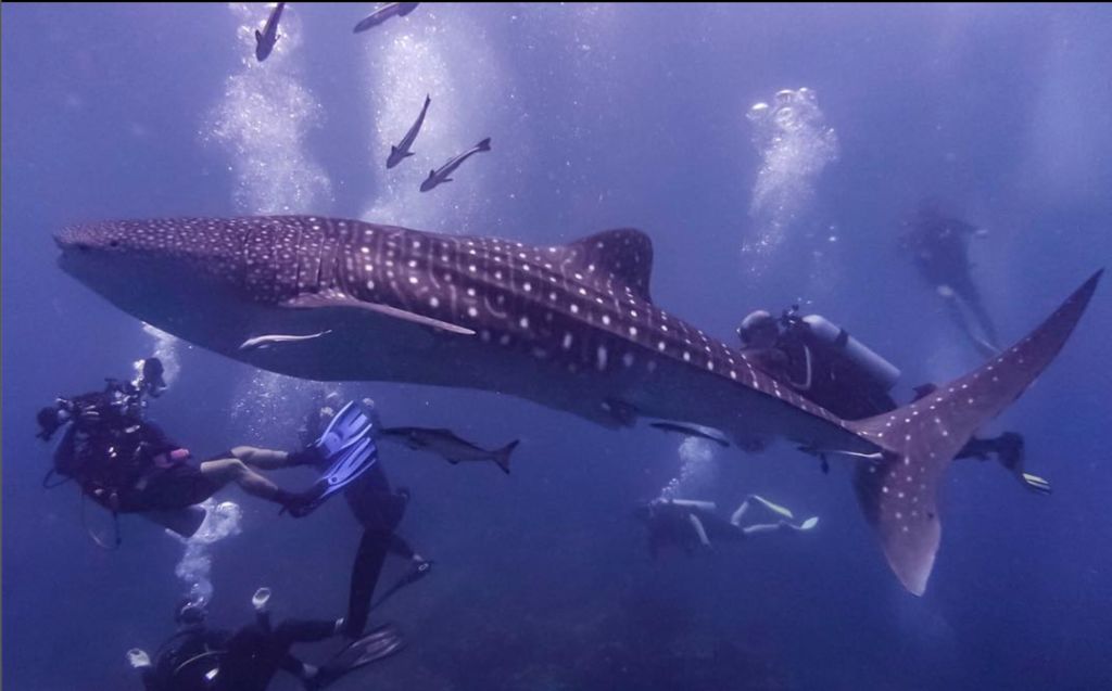 2d888bd3-a554-4a5a-bc69-68eb7a8001bd