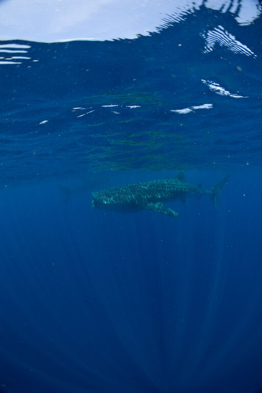 12452ad6-eb18-4b13-88cd-e97da5f4c2ef