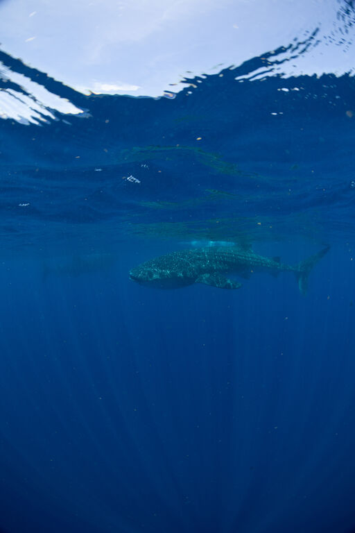 12452ad6-eb18-4b13-88cd-e97da5f4c2ef