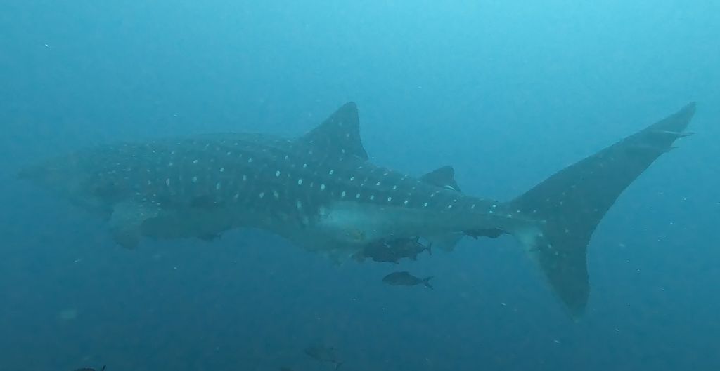 7a2d4882-e06a-4515-811a-ad55b73b4d64