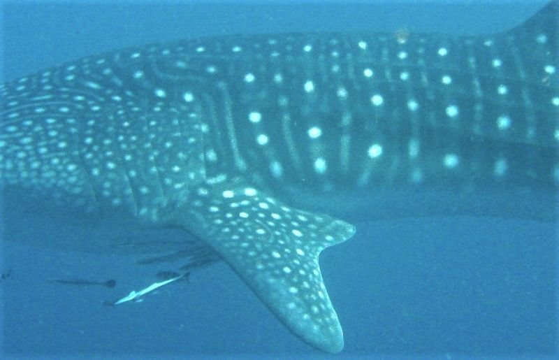 dbc2a60e-da69-4703-9d35-a3a25bc88ba8