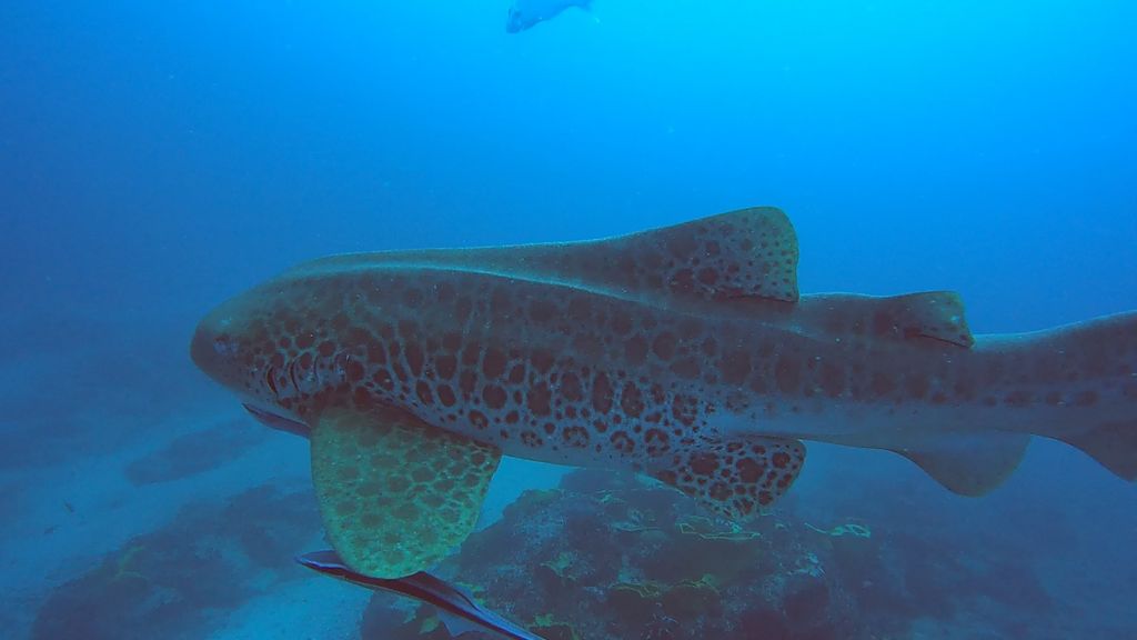 f1e55fd3-efa8-48df-a4e7-2c6819498473