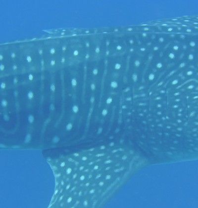 bb04c481-f1d2-4e50-bfdd-15b1f613ac6d