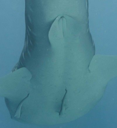 bb04c481-f1d2-4e50-bfdd-15b1f613ac6d