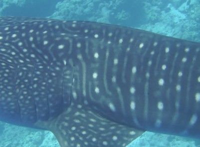 bb04c481-f1d2-4e50-bfdd-15b1f613ac6d