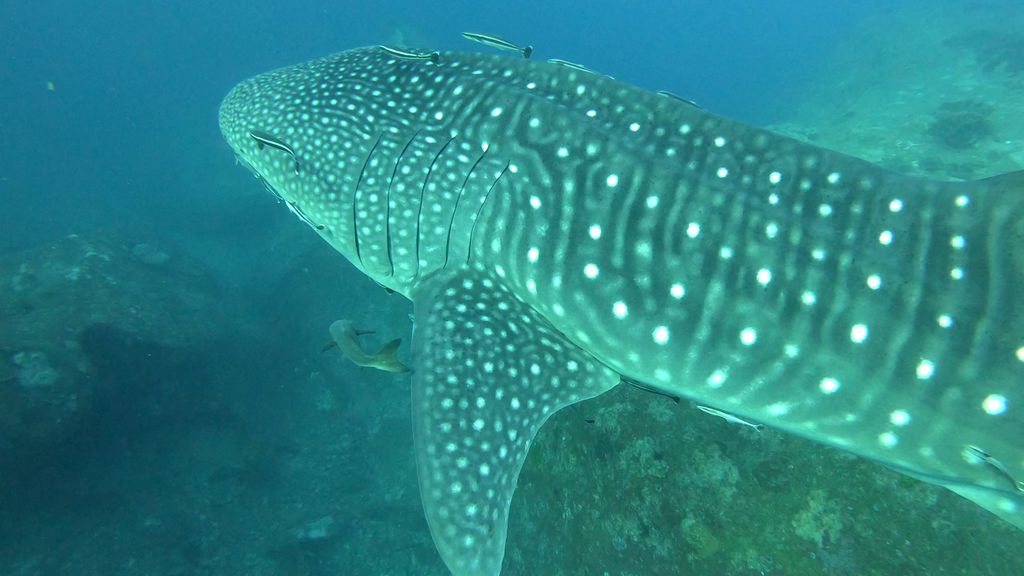 c14aa673-ea7c-429b-97d2-91e81ed3b259