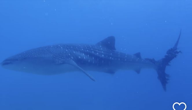 c65a3156-508a-4b3c-a59c-b9f4a2aed7e9